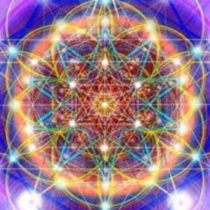 Meet your Posher, Posh